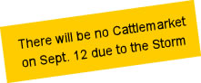 The Cattle Market will be closed on September 12 2017 due to the Storm